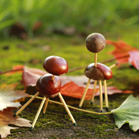 Vor einem herbstlichen Hintergrund sind zwei Kastanienpferde zu sehen.
